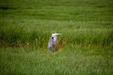 IMG_9601.jpg