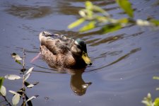 IMG_9575.jpg