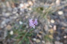 P1090184(1).jpg