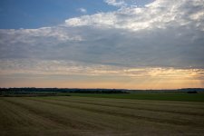 IMG_9738.jpg