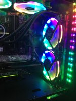 IMG_2325.jpeg