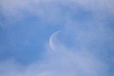 IMG_9874.jpg