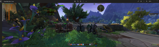 Dragonflight_Beta_1_1__.png