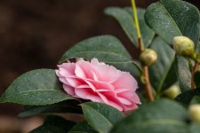 IMG_0037.jpg