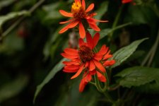 IMG_0026.jpg
