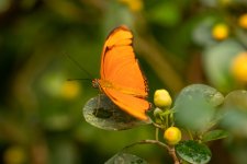 IMG_0005.jpg