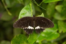 IMG_0019.jpg
