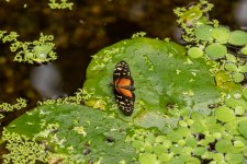IMG_9979.jpg