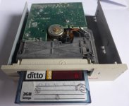 ditto2GB.jpg