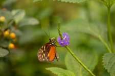 FlyPic 08.jpg