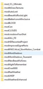 mods.JPG