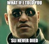 SLI.jpg