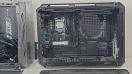 Cougar inside1.JPG
