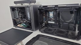 Cougar inside3.JPG