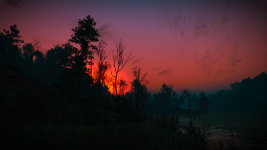 The Witcher 3 Screenshot 2022.12.15 - 21.38.29.11.png