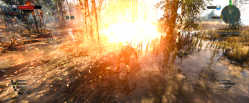 666-The Witcher 3 Screenshot 2022.12.23 - 12.45.21.55.png