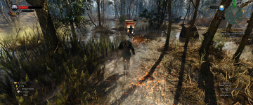 666-The Witcher 3 Screenshot 2022.12.23 - 12.45.47.25.png