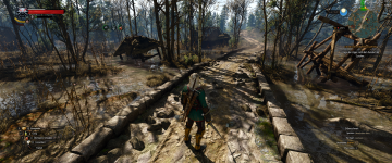 666-The Witcher 3 Screenshot 2022.12.23 - 12.46.11.86.png