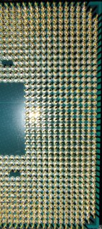 Pins_gereinigt (2).jpg