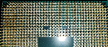 Pins_gereinigt (3).jpg