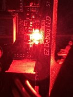 IMG_9531.jpeg
