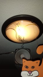 IMG_20230110_173824_3.jpg