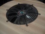 IMG_3803.JPG
