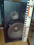 DSC00368.JPG