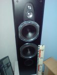 DSC00369.JPG