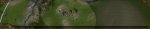 ForgedAlliance 2011-12-10 23-00-20-78.jpg