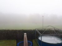 20230212_110756.jpg