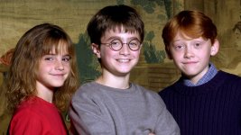 harry-potter_young.jpg