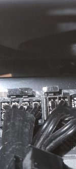 20230310_202540.jpg