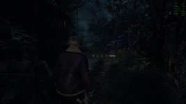 RE4_4k@FSR2perf.jpg