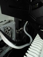 IMG_20230311_093823[1].jpg