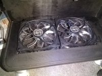 IMG_20230306_075839.jpg