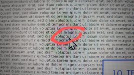 PXL_20230311_220555274~2.jpg