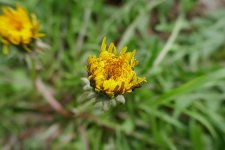 P1110096(1).jpg