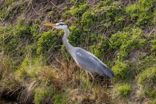 IMG_0691.jpg