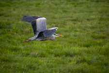 IMG_0888.jpg