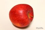 Alter Apfel.jpg