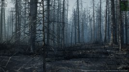 UE5.2-burnedForest.jpg