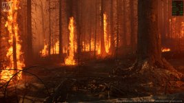 UE5.2burningForest.jpg