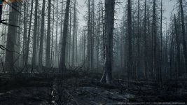 MWBurnedDeadForestBiome-Win64-Shipping_2023_05_19_17_54_32_512.jpg