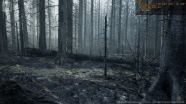 MWBurnedDeadForestBiome-Win64-Shipping_2023_05_21_10_22_26_003.jpg