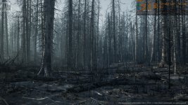 MWBurnedDeadForestBiome-Win64-Shipping_2023_05_21_10_30_58_667.jpg