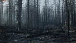 RTX 4090 Setting.jpg