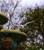 2T2A0014 edinburgh2.jpg