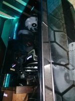 IMG_20230607_074240.jpg