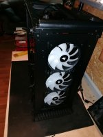 IMG_20230526_055312.jpg
